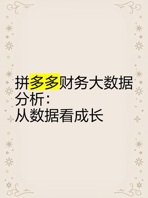 拼多多财务大数据分析:从数据看成长